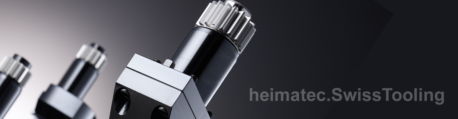 Citizen Langdreher der Produktgruppe heimatec.SwissTooling